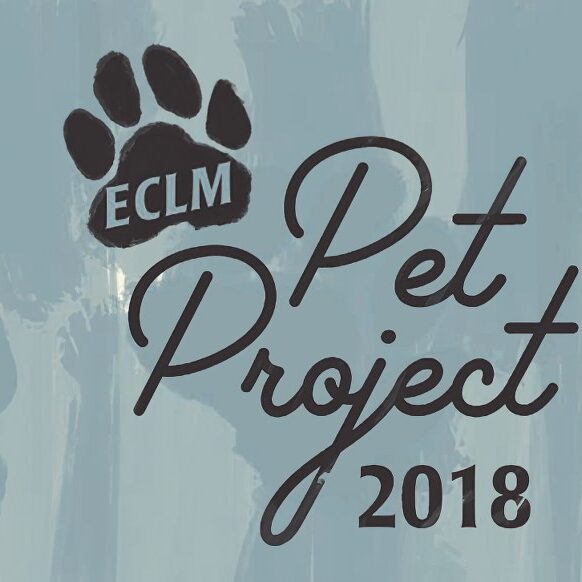2018 Pet Project