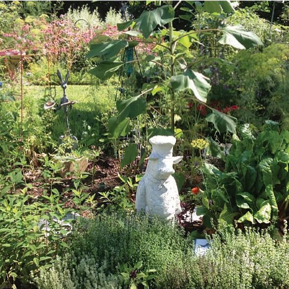 Growing Culinary Herbs