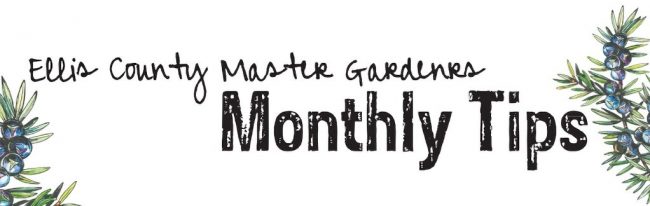 ellis-county-master-gardeners-monthly-tips