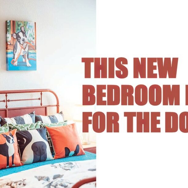 this-new-bedroom-is-for-the-dogs This room is for the dogs