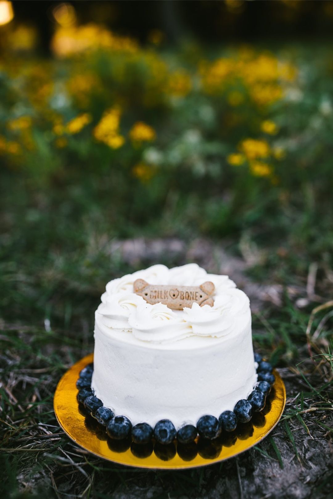 Baking Basics for Your Pups - Ellis County Living Magazine