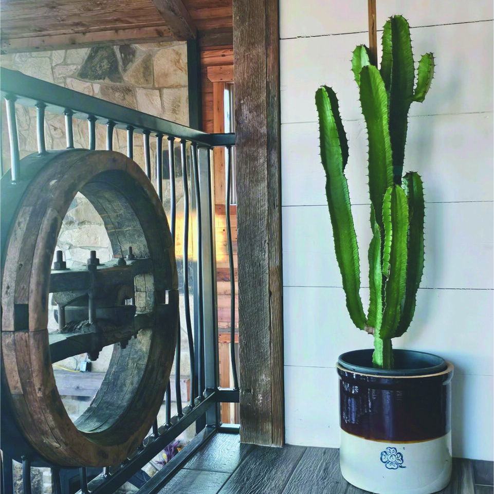 0ZSlMj264dfK7TPg2FZjz5wkm6U4hhNG1w