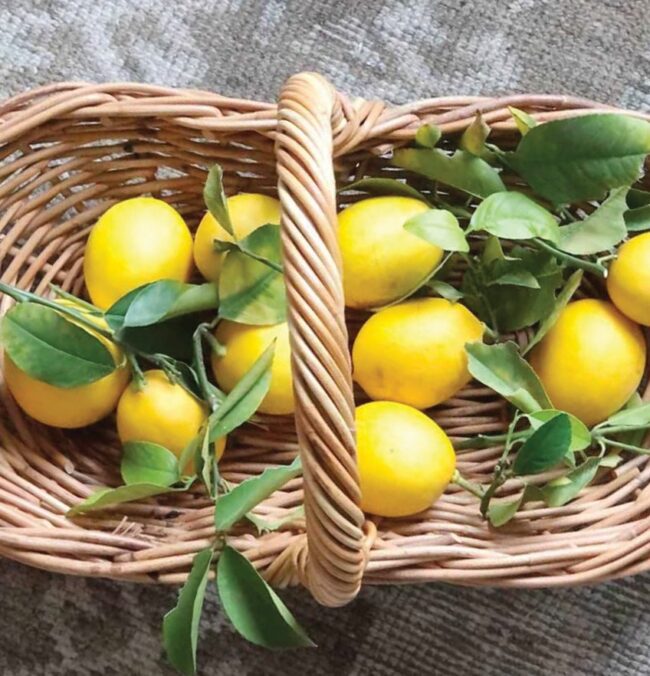 easylemonade