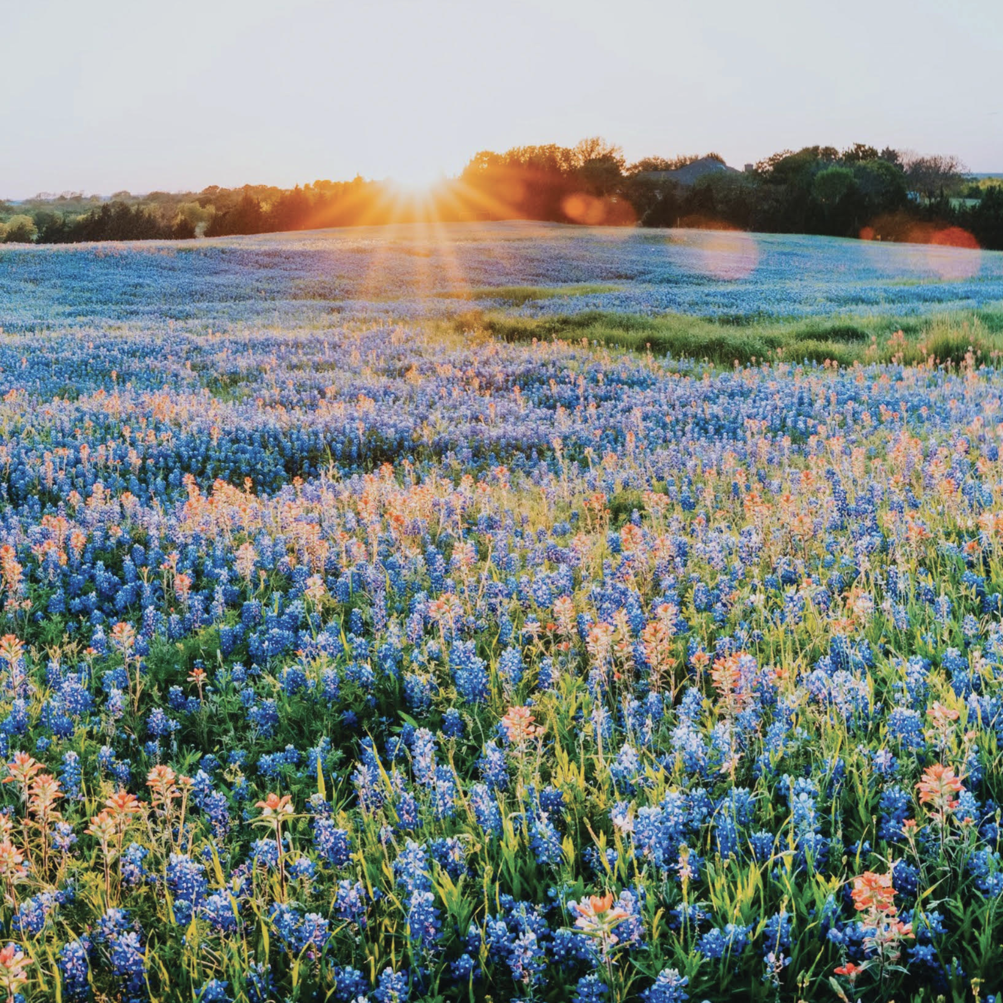 Screen Shot 2025-05-05 at 10.11.45 AM